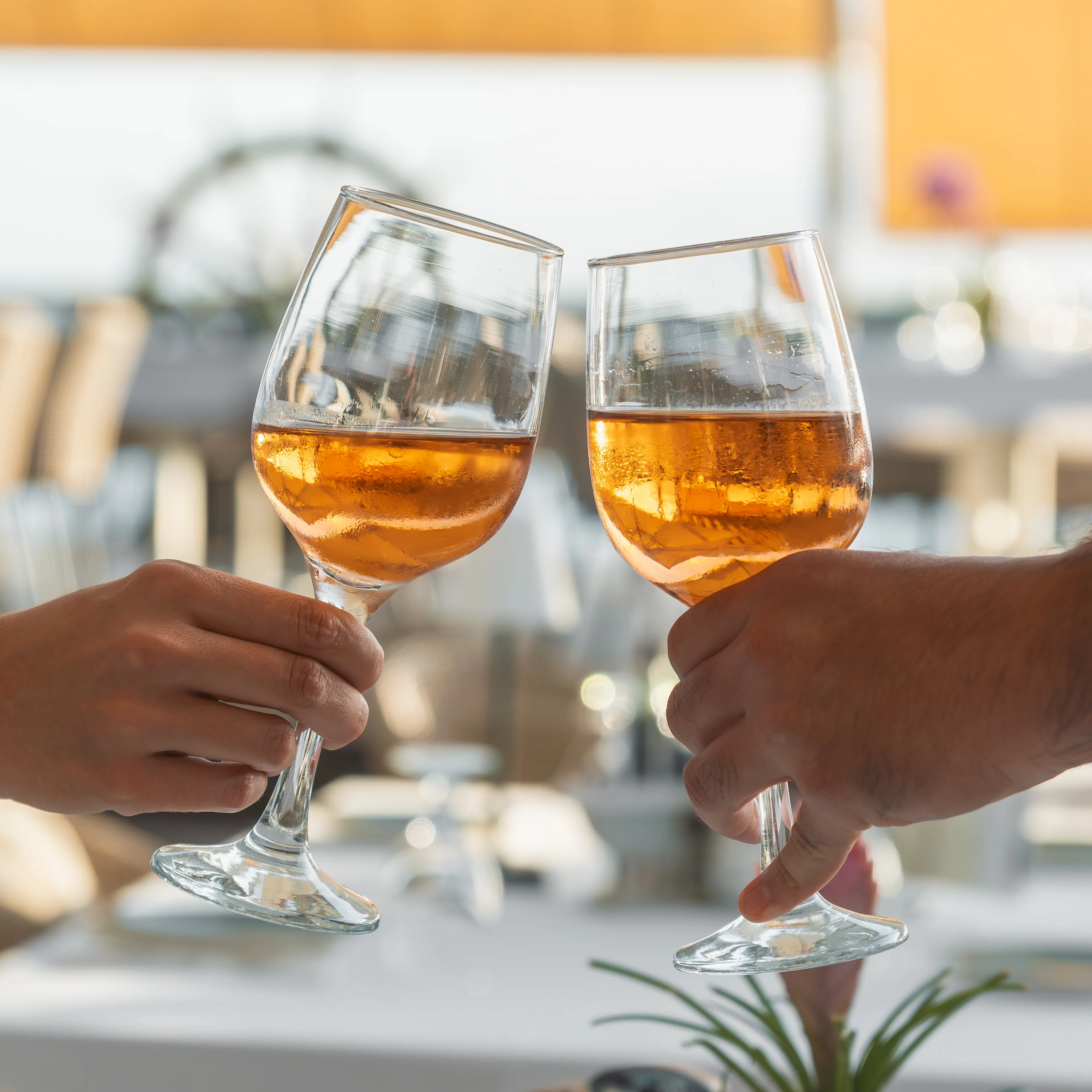 Artisanal cocktail prepared at the Aqua bar